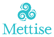 The Mettise Group Logo